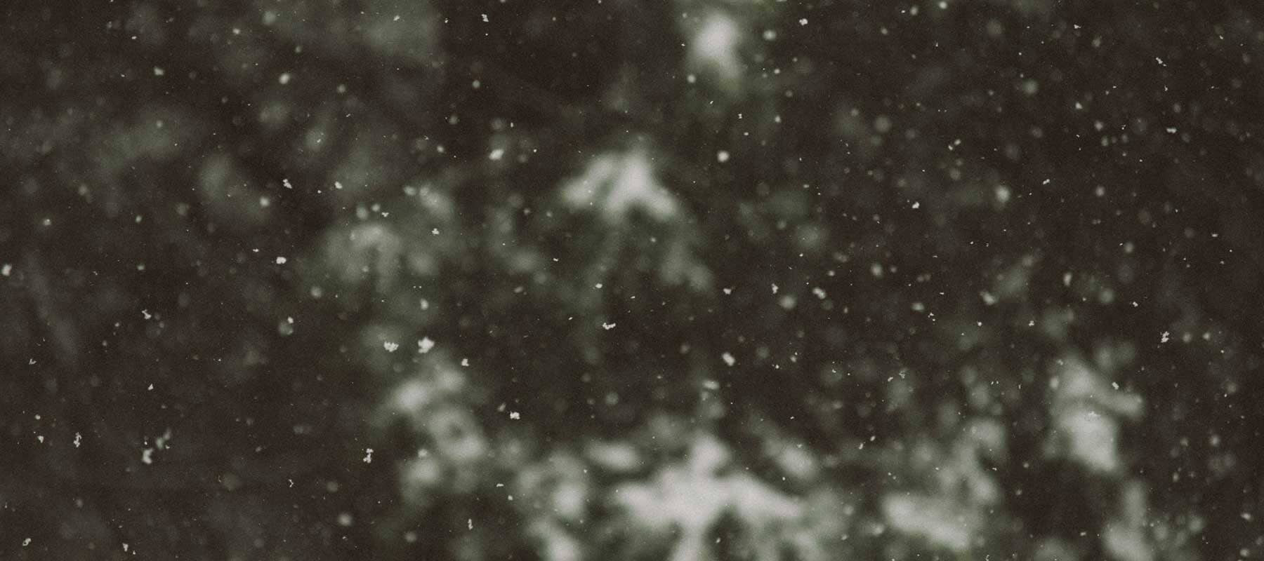 5 steps for making your home Christmas more sustainable.