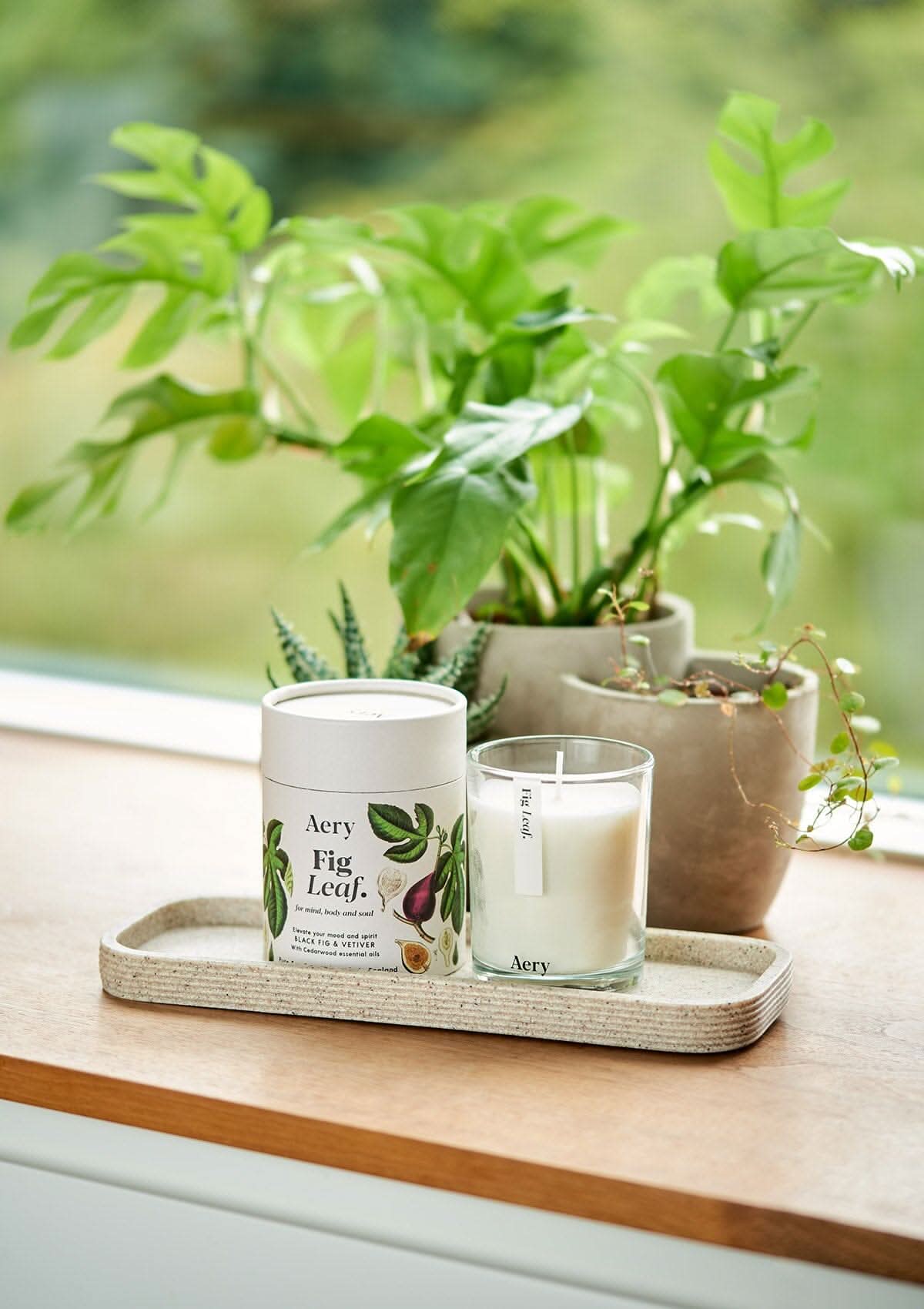 Cream Fig Leaf candle by aery displayed next to product packaging and potted plants sat on window seal