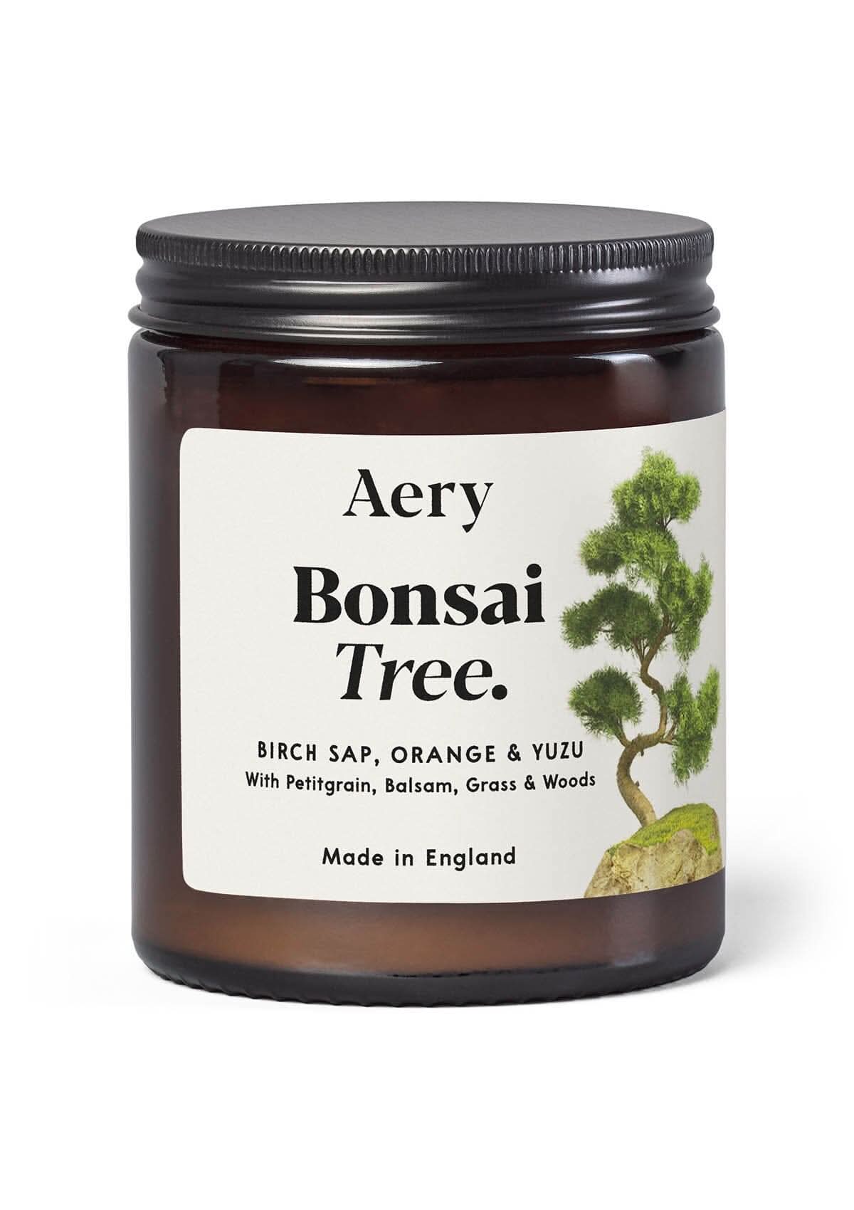 Bonsai Scented Jar Candle - Birch Sap Orange and Yuzu