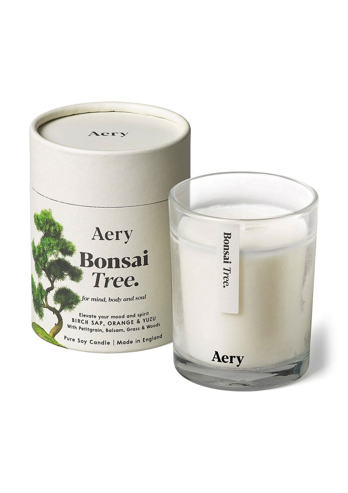Cream Bonsai Tree glass scented candle displayed next to product packaging on white bacground