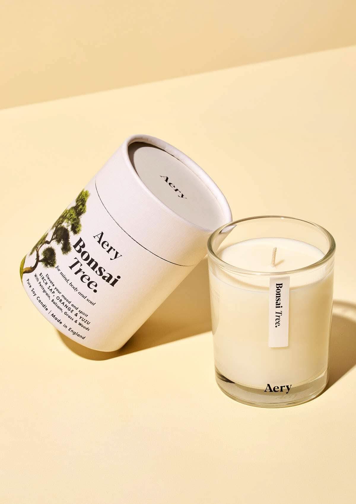 Bonsai Tree Scented Candle - Birch Sap Orange and Yuzu