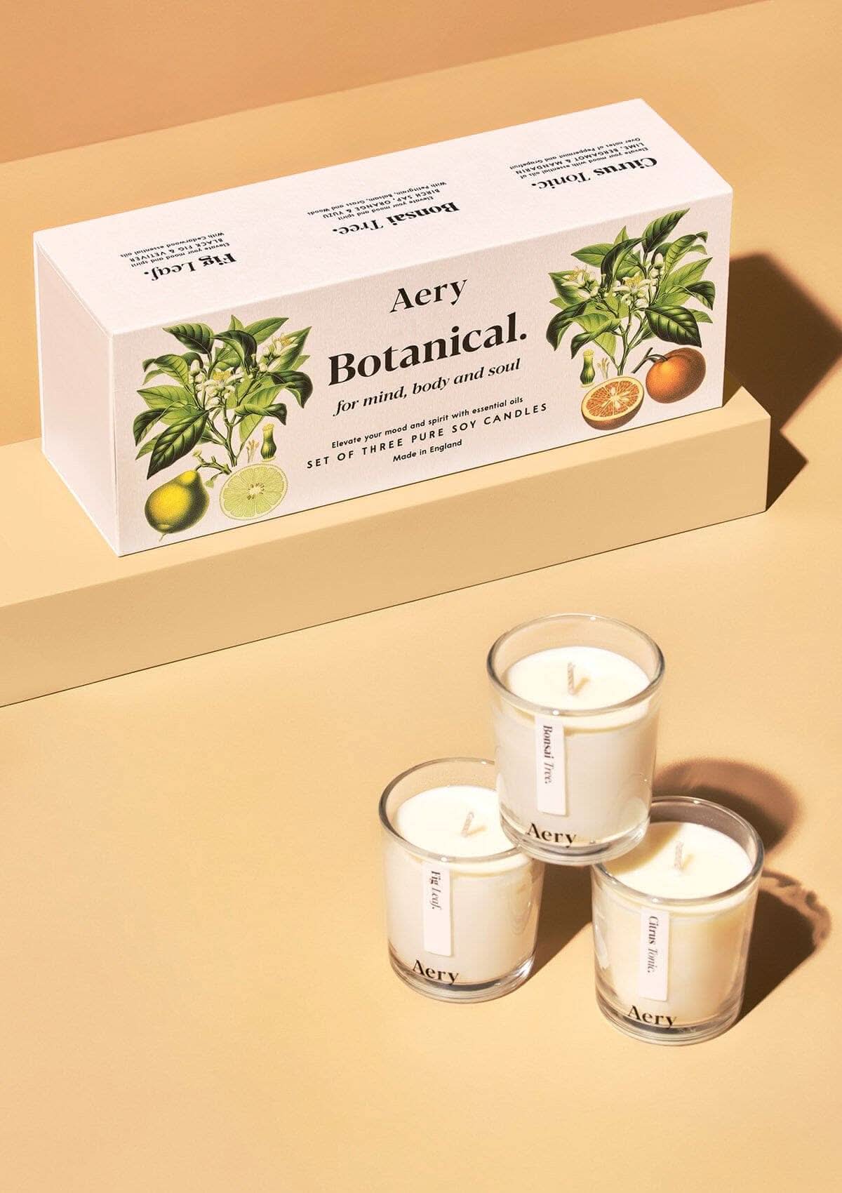 Botanical Gift Set of 3 - mini Candles